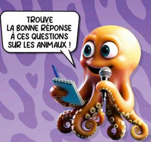 Hors-Séries 45 QUIZ