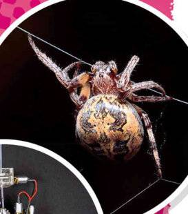 Hors-Séries 45 3 INVENTIONS COPIÉES SUE LES ANIMAUX !