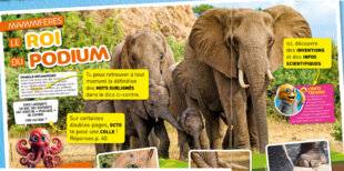 Hors-Séries 46 MAMMIFÈRES, LE ROI DU PODIUM