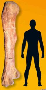 Hors-Séries 46 DES OS QUI PARLENT !