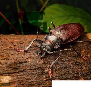 Hors-Séries 46 PETIT GÉANT !