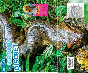 Hors-Séries 46 UN GRAND DISCRET