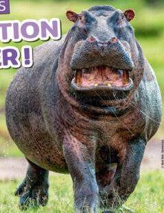 Hors-Séries 46 ATTENTION DANGER !