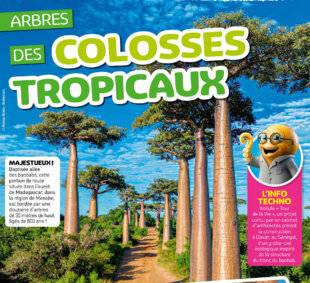 Hors-Séries 46 COLOSSES TROPICAUX