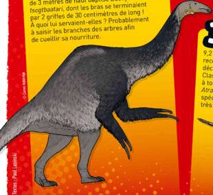 Hors-Séries 46 3 ANIMAUX XXL DÉCOUVERTS RÉCEMMENT !