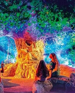 Hors-Séries 46 LES PLANTES FONT LEUR SHOW !