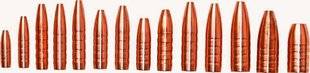 TirMag 21 Balles monolithiques Copper Bear