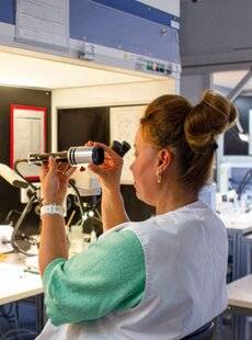 TirMag 26 De la buanderie familiale au top mondial de l'optique
