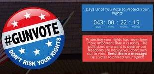 TirMag 29 Gun vote