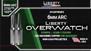 TirMag 31 LIBERTY 6MM ARC