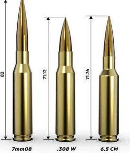 TirMag 33 7mm-08 Remington : un chat sauvage domestiqué