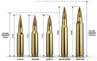TirMag 34 Le .308 Winchester : la référence du tir