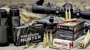 TirMag 35 Les munitions