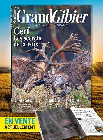 TirMag 36 