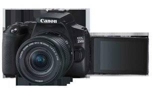 Science & Vie Photo 1 CANON 250 D : MINI 4K