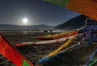 Science & Vie Photo 1 MATTHIEU RICARD