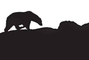 Science & Vie Photo 2 L'ARCTIQUE NOIR SUR BLANC