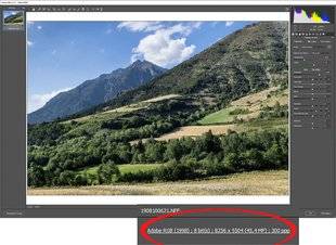 Science & Vie Photo 3 COMMENT RÉGLER LES OPTIONS DE WORKFLOW dans Camera Raw