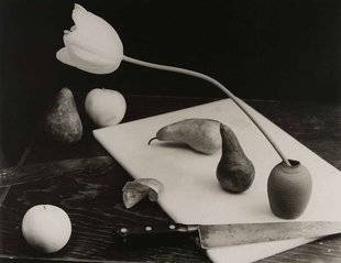 Science & Vie Photo 3 Laboratoire des formes