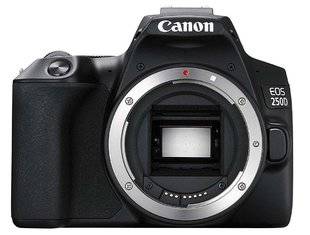 Science & Vie Photo 4 Le reflex furtif et créatif