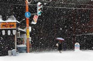 Science & Vie Photo 4 «NEIGES» CHRISTOPHE JACROT
