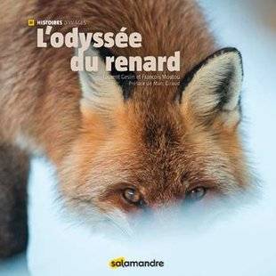 Science & Vie Photo 4 « L'ODYSSÉE DU RENARD » LAURENT GESLIN