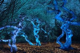 Science & Vie Photo 8 BALLET DE CENTENAIRES