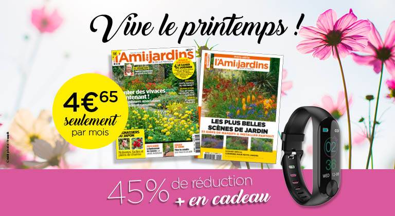 C'est le Printemps !