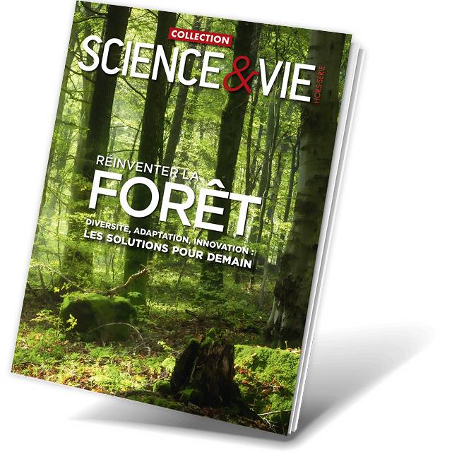 Réinventer la forêt