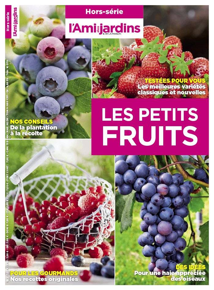 La Une de Hors-Séries n°188 du 04/11/2015