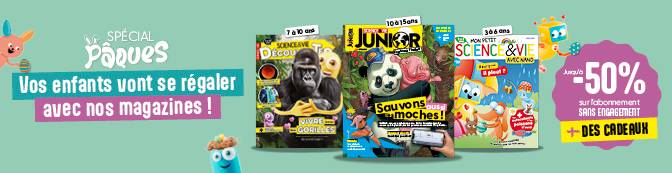 Vos enfants vont se régaler avec nos magazines… Abonnez-les dès maintenant à petits prix !