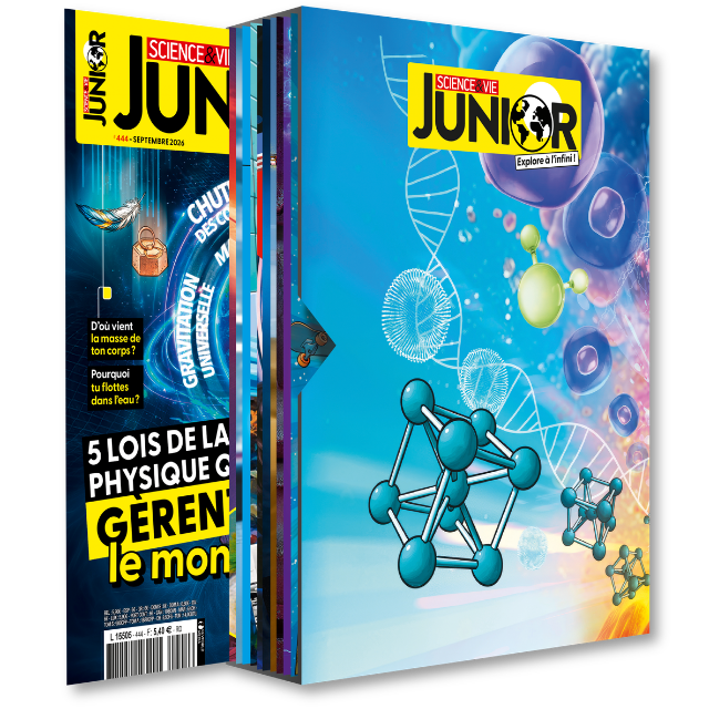 Coffret de rangement SCIENCE&VIE JUNIOR