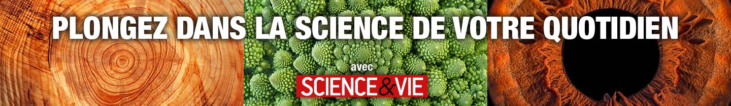Votre abonnement à Science & Vie pour 4,90€/mois !