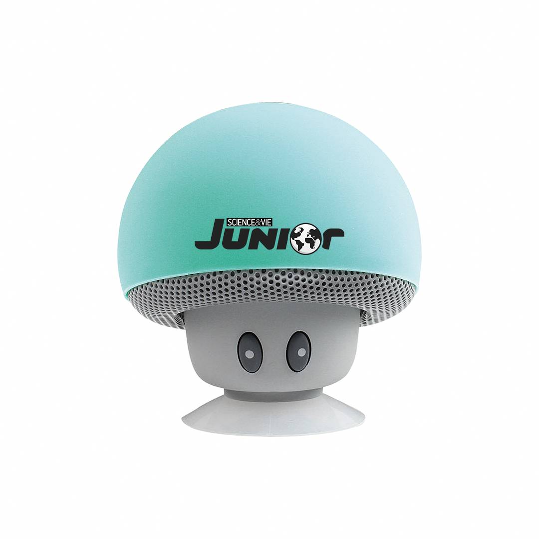 Mini haut-parleur champignon