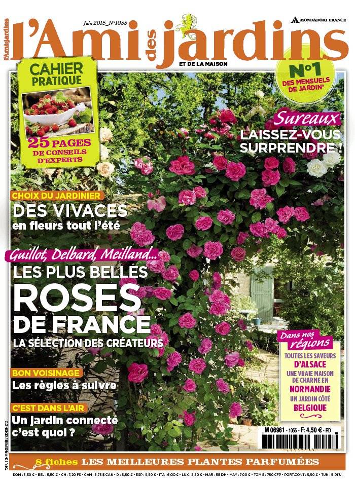 La Une de L'Ami des Jardins n°1055 du 13/05/2015