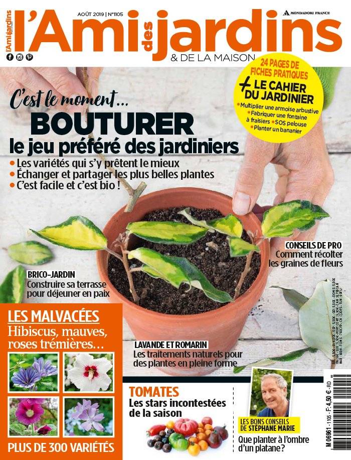La Une de L'Ami des Jardins n°1105 du 29/07/2019