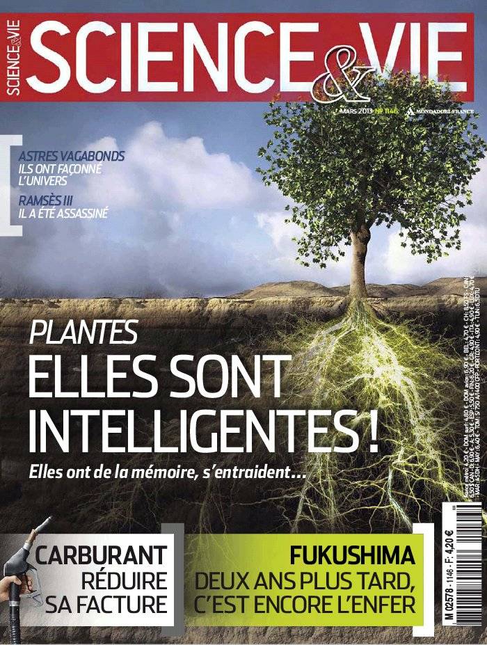 Science & Vie N°1146