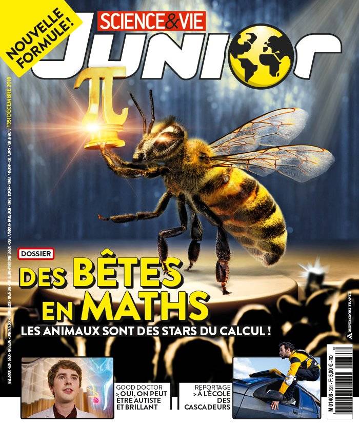 La Une de Science & Vie Junior n°351 du 14/11/2018