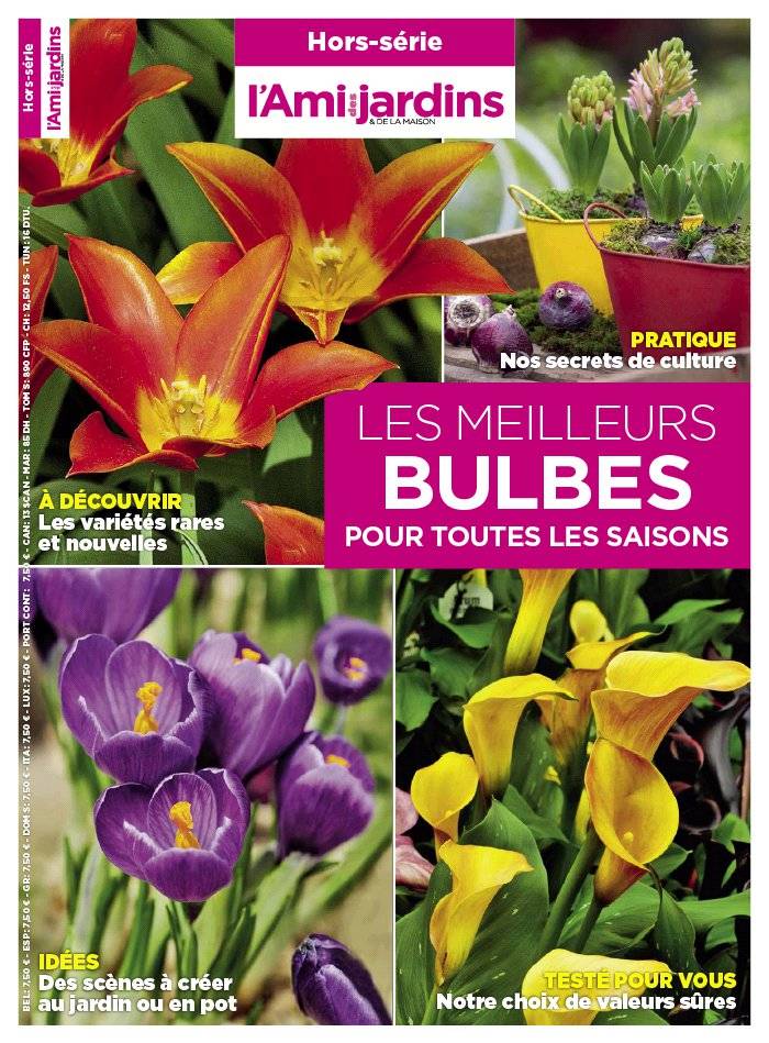 La Une de Hors-Séries n°186 du 10/09/2015