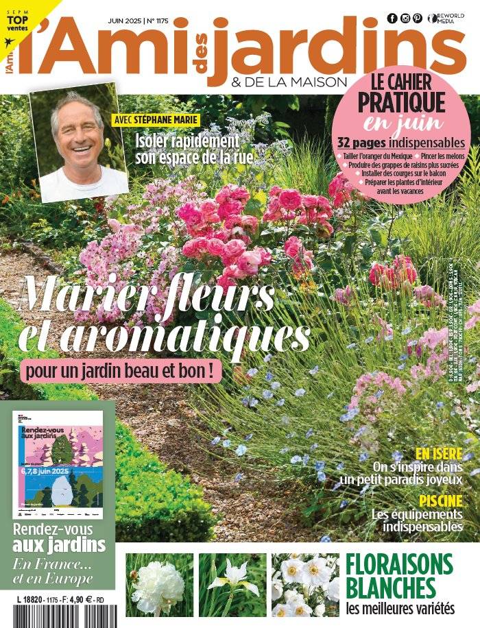 L'Ami des Jardins N°1175
