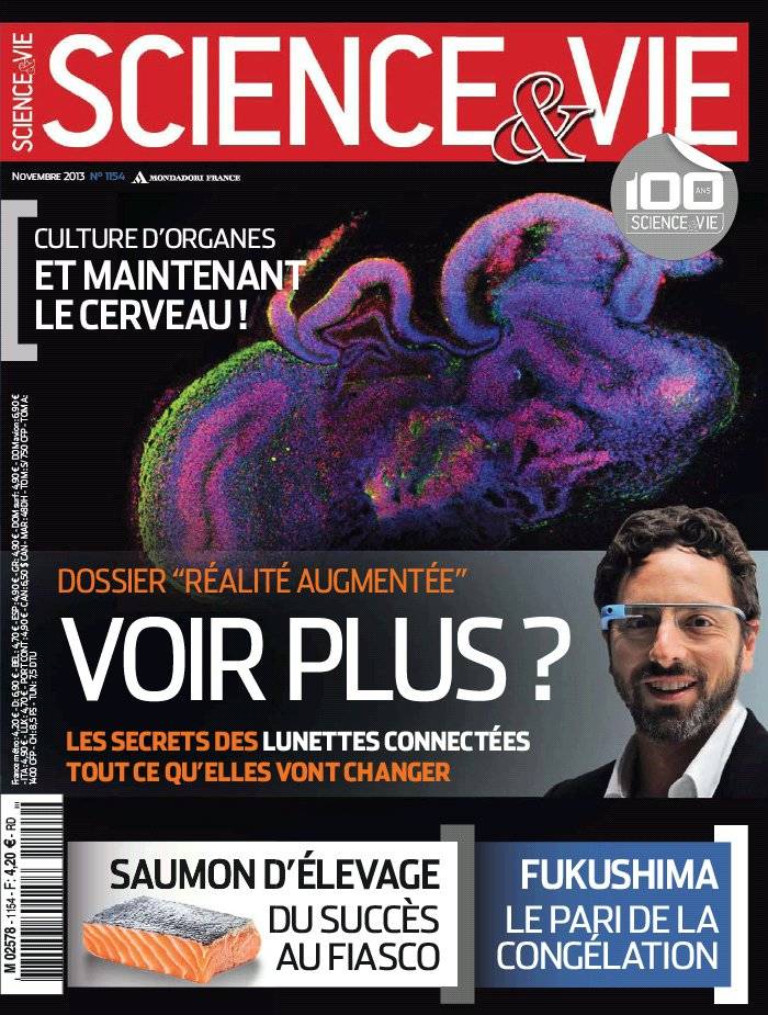 La Une de Science & Vie n°1154 du 23/10/2013