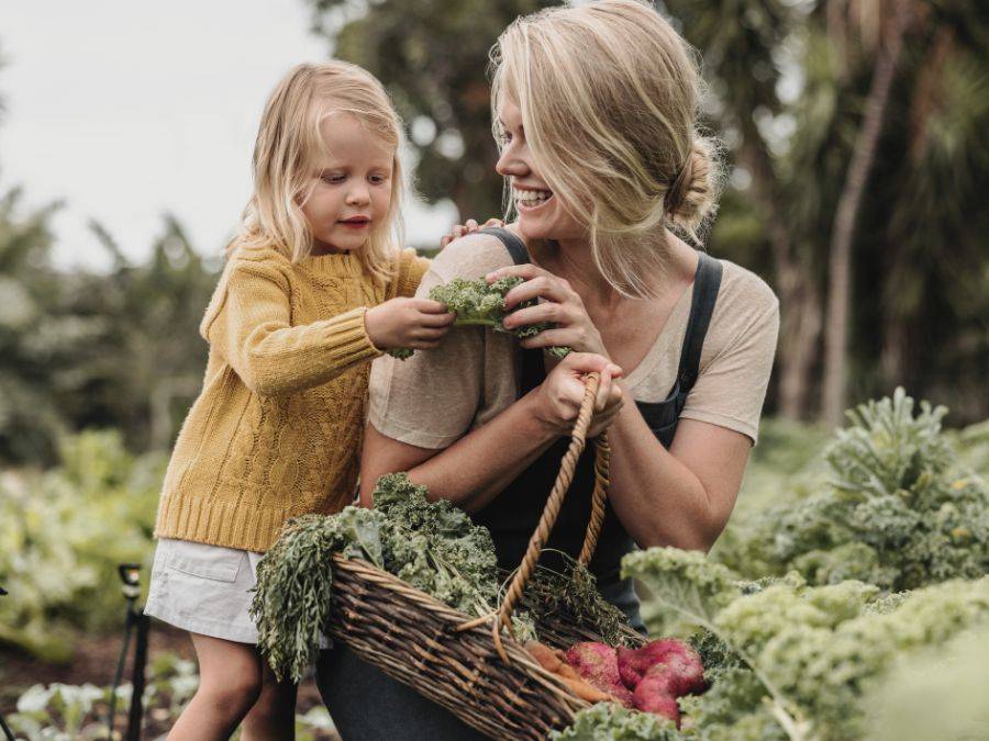 Jardin, nature et chasse