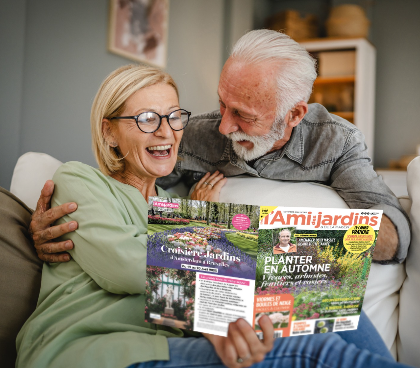 Kiosquemag: nos abonnents